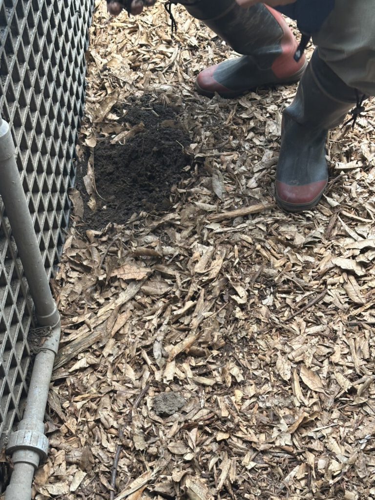 生態養殖養雞場參訪交流 活動照片 5