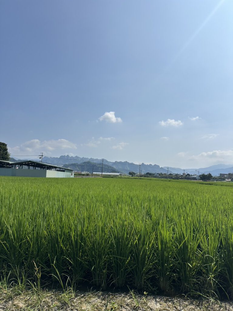 生態養殖養雞場參訪交流 活動照片 4
